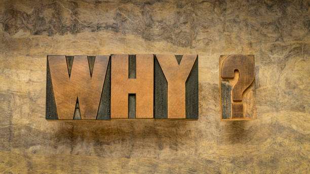 why question in vintage letterpress wood type against textured bark paper, curiosity, explanation and reason concept